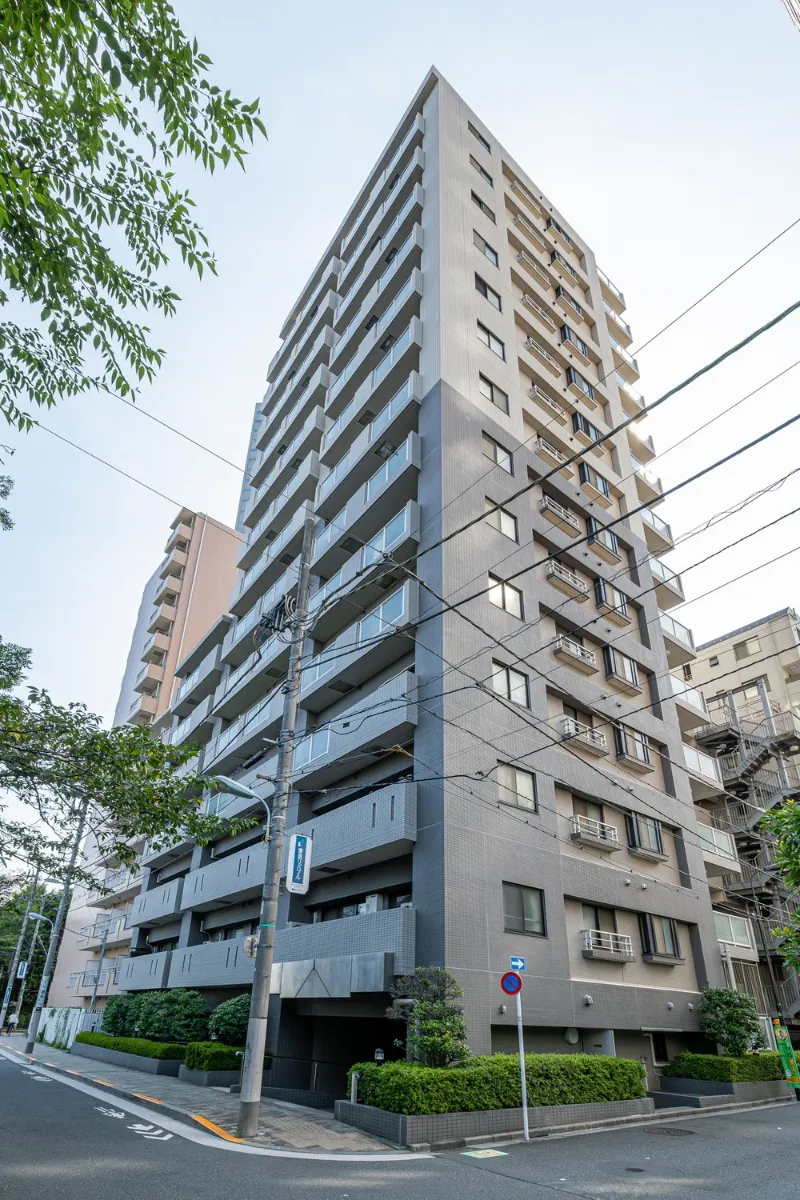 マイキャッスルリバーフロントタワー銀座東の外観1